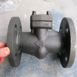 FORGED STEEL FLANGE END CHECK VALVE